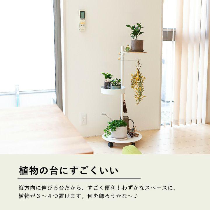 DRAW A LINE ドローアライン つっぱり棒 おしゃれ 伸縮 インテリア