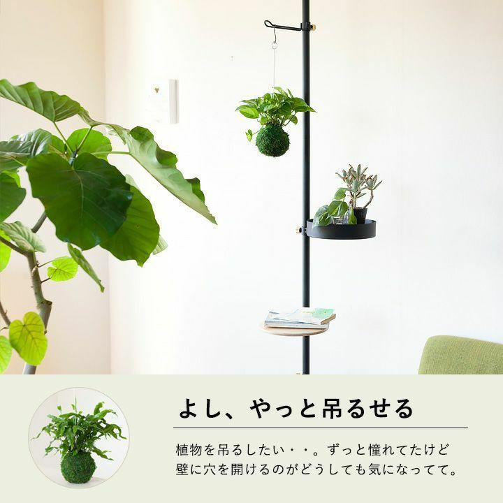 DRAW A LINE ドローアライン つっぱり棒 おしゃれ 伸縮 インテリア 縦