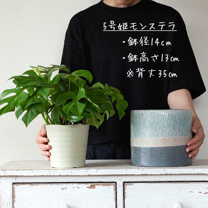 スタンド付き！ゴツッとした陶器の鉢カバー（19cm） : e-花屋さん