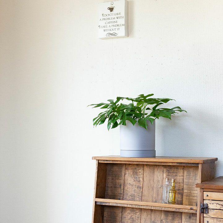 鉢 植木鉢 鉢カバー セラミック 受皿一体型シリンダー陶器鉢L（19cm