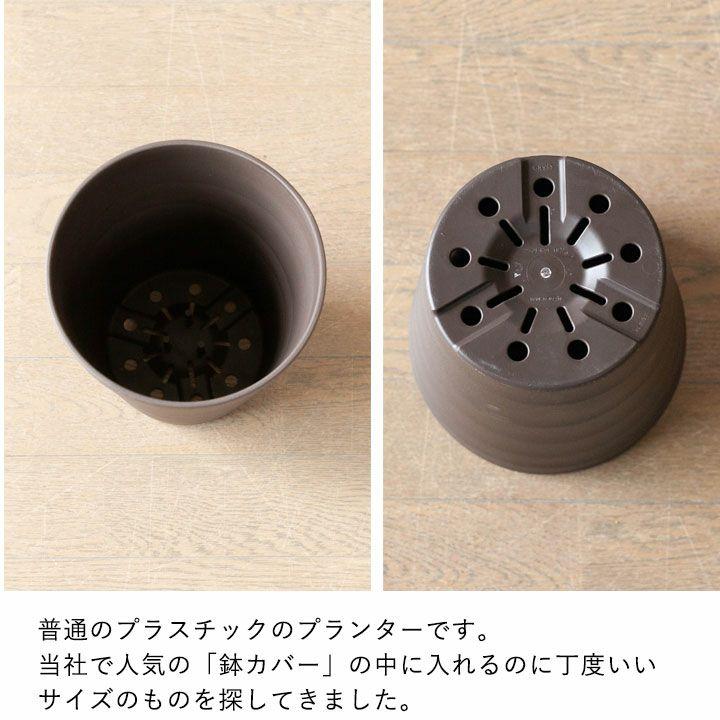 鉢 植木鉢 植え替え 鉢カバー インナーポット プラスチック の鉢（17.5ｃｍ）｜e-8783｜03