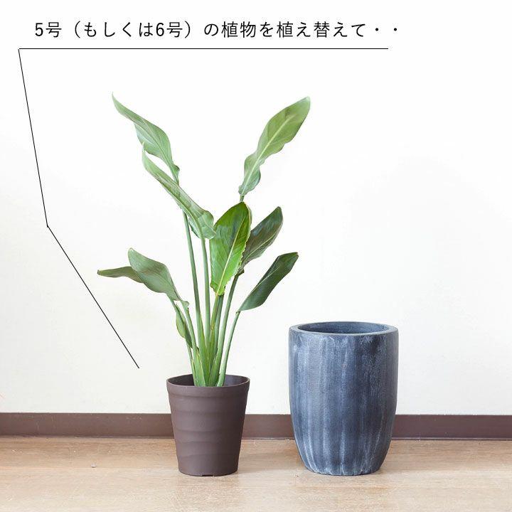 鉢 植木鉢 植え替え 鉢カバー インナーポット プラスチック の鉢（17.5ｃｍ）｜e-8783｜04