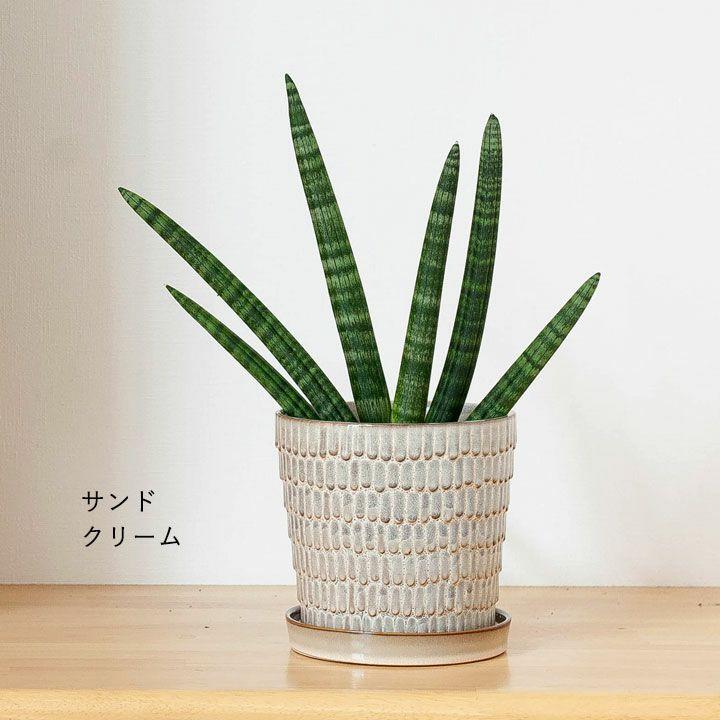 鉢 植木鉢 おしゃれ 室内 陶器鉢 ウロコ模様の愛らしい陶器鉢M（17cm 