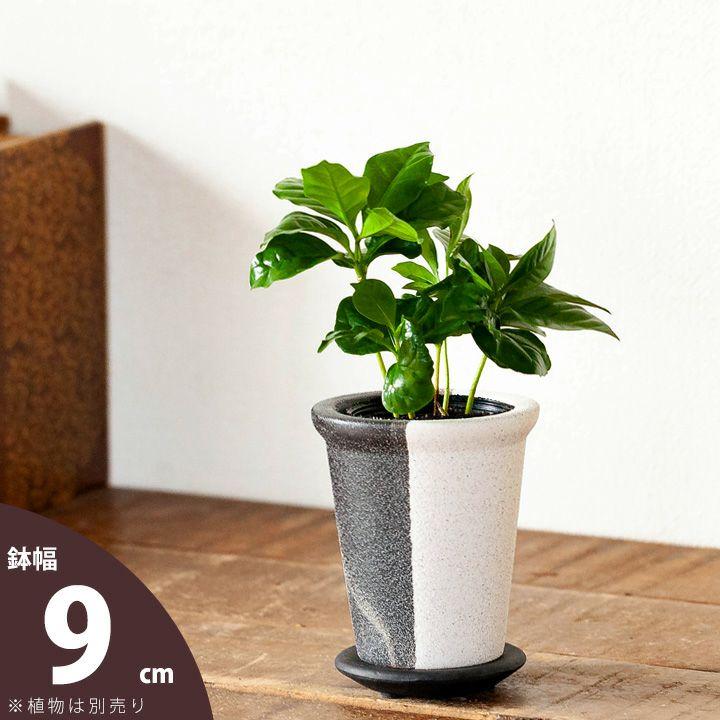 鉢 植木鉢 おしゃれ モダン 植え替え インテリア 白黒モダン植木鉢（た