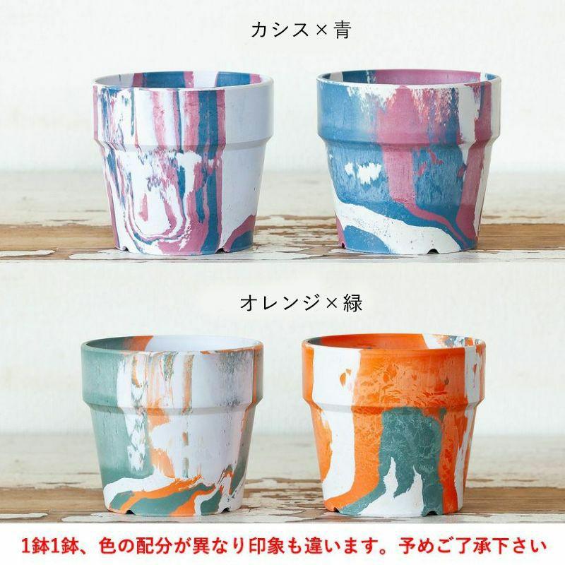 サンスベリア ミカド 観葉植物 小さい おしゃれ 2種の鉢から選べる