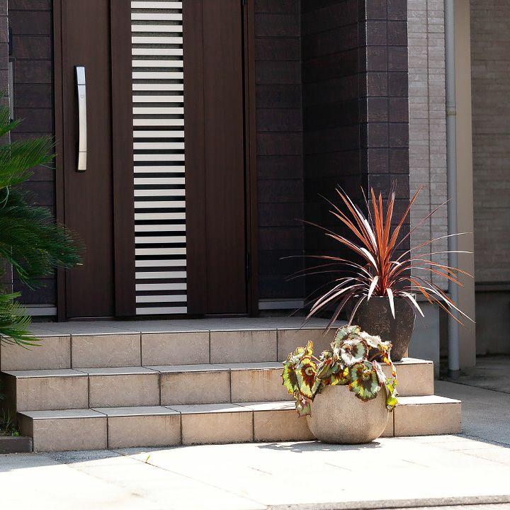 観葉植物 おしゃれ 大型 種類 屋外 庭 ガーデニング コルジリネ
