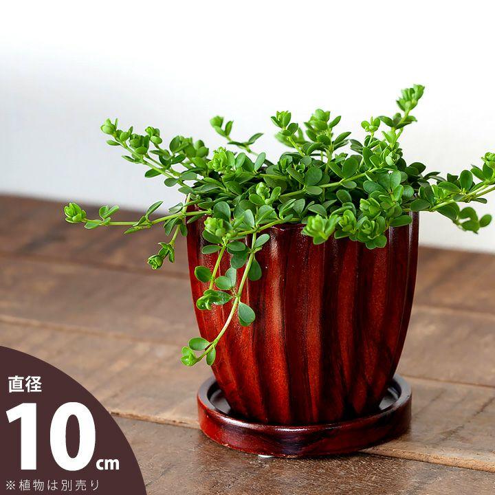 鉢 植木鉢 陶器 おしゃれ 室内 植え替え 木目デザインの植木鉢S（10cm） 3号 : e-花屋さん - 通販 - Yahoo!ショッピング