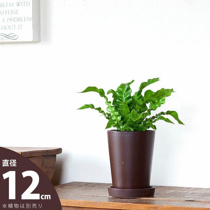 鉢 植木鉢 陶器 おしゃれ 室内 鉢植え 植え替え シンプルな茶色の