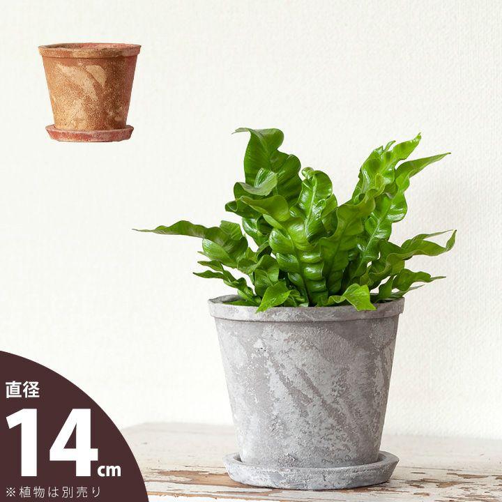 植木鉢 おしゃれ 陶器 受皿付き 使い古したような。レトロな素焼き