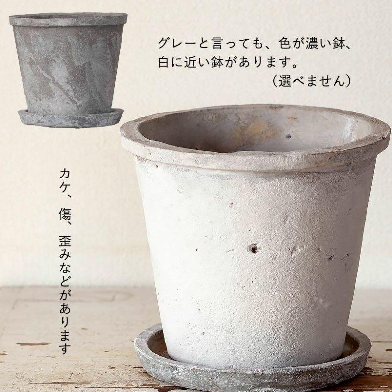 植木鉢 おしゃれ 陶器 受皿付き 使い古したような。レトロな素焼き