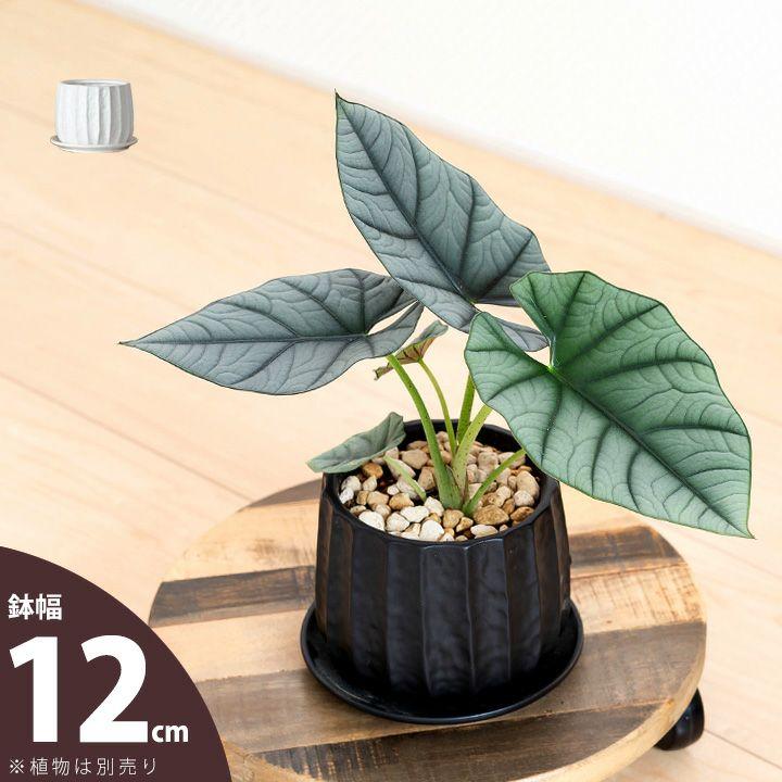 鉢 植木鉢 陶器 おしゃれ 室内 植え替え 鉢カバー シンプル過ぎない