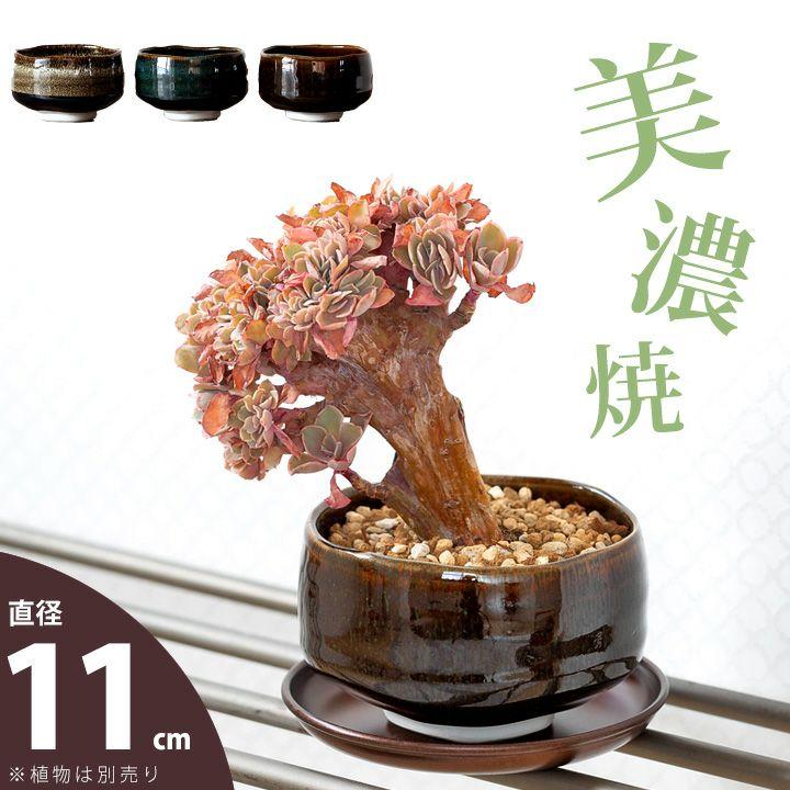 鉢 植木鉢 陶器 おしゃれ 美濃焼の抹茶碗で、植物を愛でるMサイズ