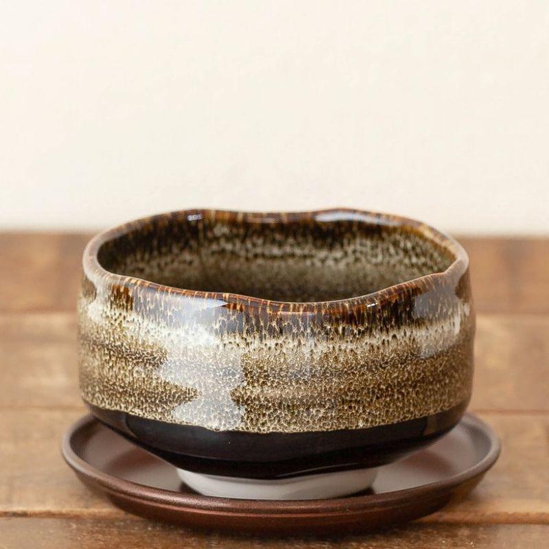 鉢 植木鉢 陶器 おしゃれ 美濃焼の抹茶碗で、植物を愛でるMサイズ