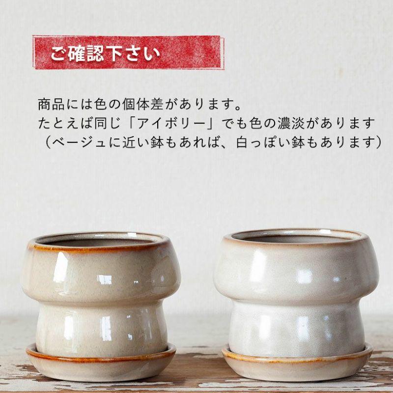 鉢 植木鉢 陶器 室内 おしゃれ 植え替え マッシュルームみたいな