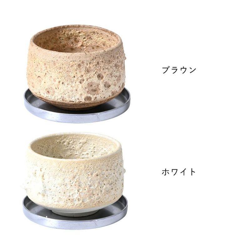 鉢 植木鉢 陶器 室内 おしゃれ 植物 植え替え 抹茶碗をワイルドに演出
