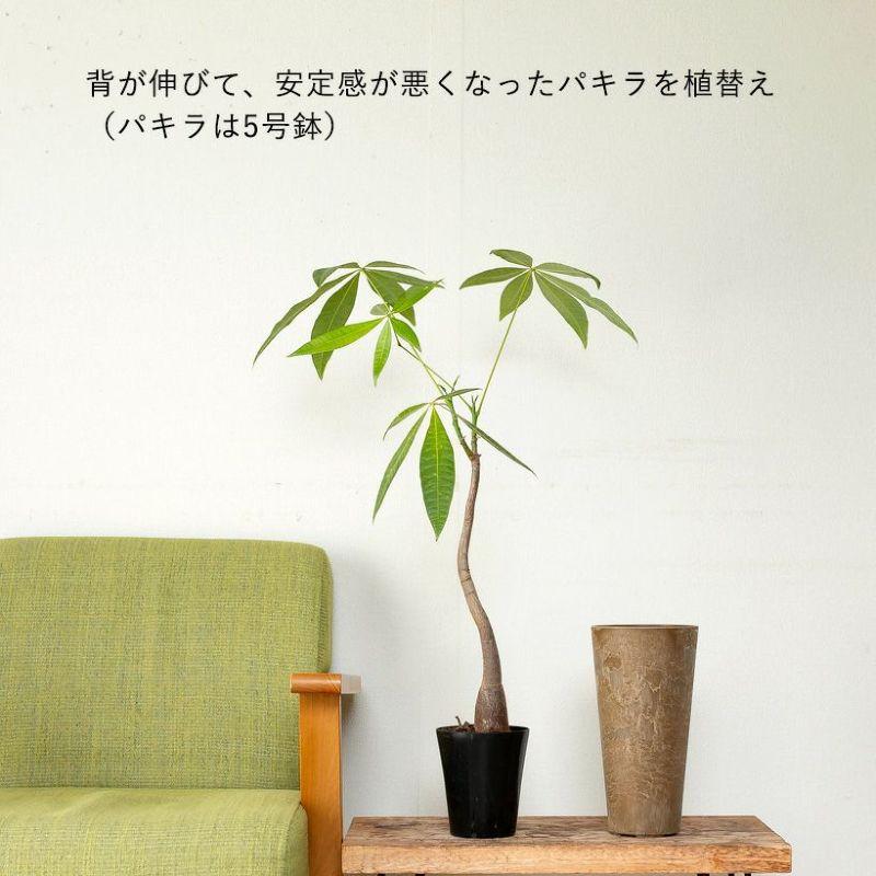 鉢 植木鉢 鉢カバー おしゃれ 軽い 高級感 スタイリッシュ 縦長鉢 : e