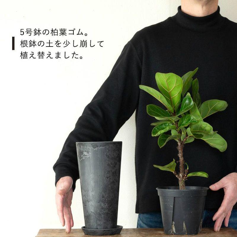 鉢植えカバー 鉢カバー 縦長 鉢 植木鉢 鉢カバー おしゃれ 軽い 高級感 スタイリッシュ 縦長鉢 : e