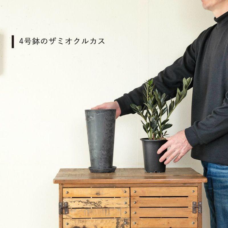 植木鉢　鉢カバー　新品未使用　長期保管 鉢 植木鉢 鉢カバー おしゃれ 軽い 高級感 スタイリッシュ 縦長鉢 : e