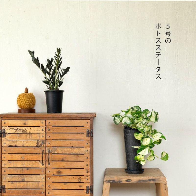 植木鉢　鉢カバー　新品未使用　長期保管 鉢 植木鉢 鉢カバー おしゃれ 軽い 高級感 スタイリッシュ 縦長鉢 : e