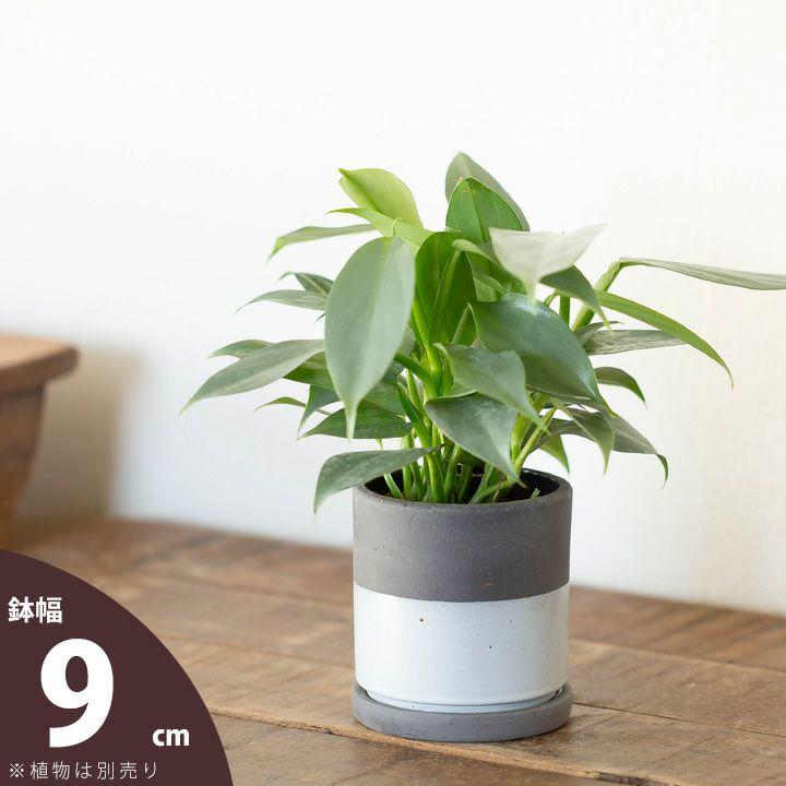 鉢 植木鉢 陶器鉢おしゃれ 室内 鉢カバー ツートンCOLORのシリンダー