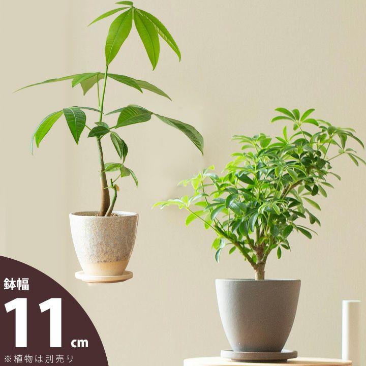 鉢 植木鉢 陶器 おしゃれ シンプル ほのか （Made in JAPAN植木鉢