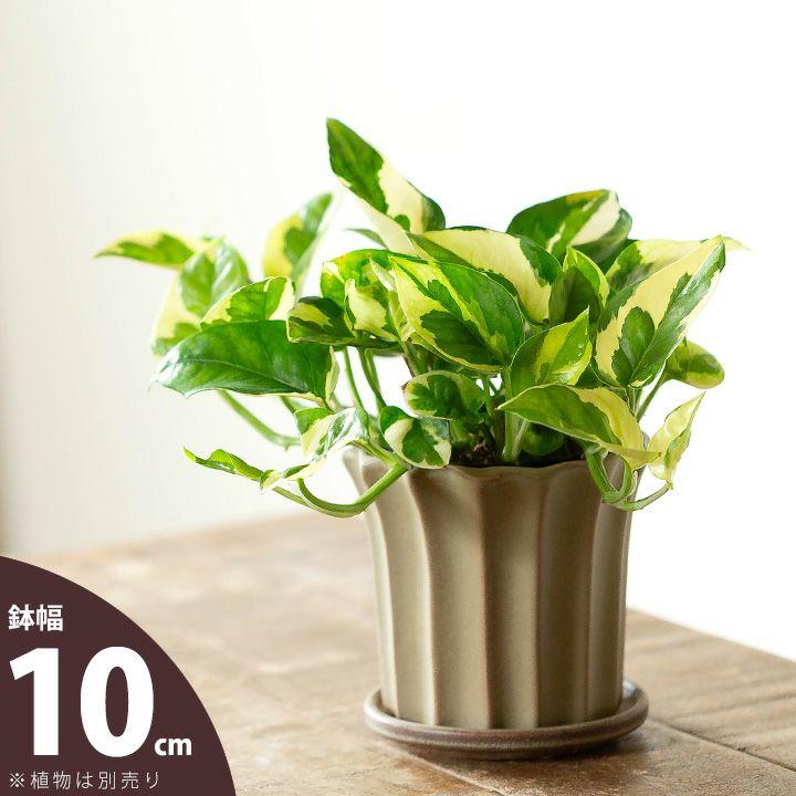 鉢 植木鉢 おしゃれ 室内 陶器鉢 いい感じのブラウン。上品で、植物を
