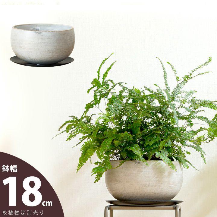 鉢 植木鉢 おしゃれ 室内 陶器鉢 浅鉢 ゆったりとした、浅めのボール鉢