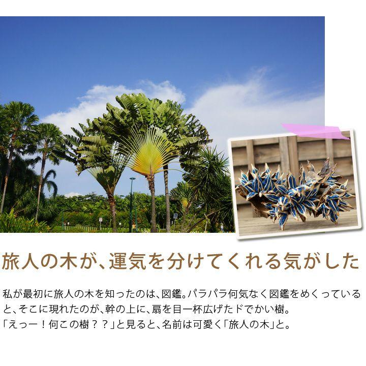 観葉植物 おしゃれ 種類 室内 インテリア テーブルグリーン 卓上