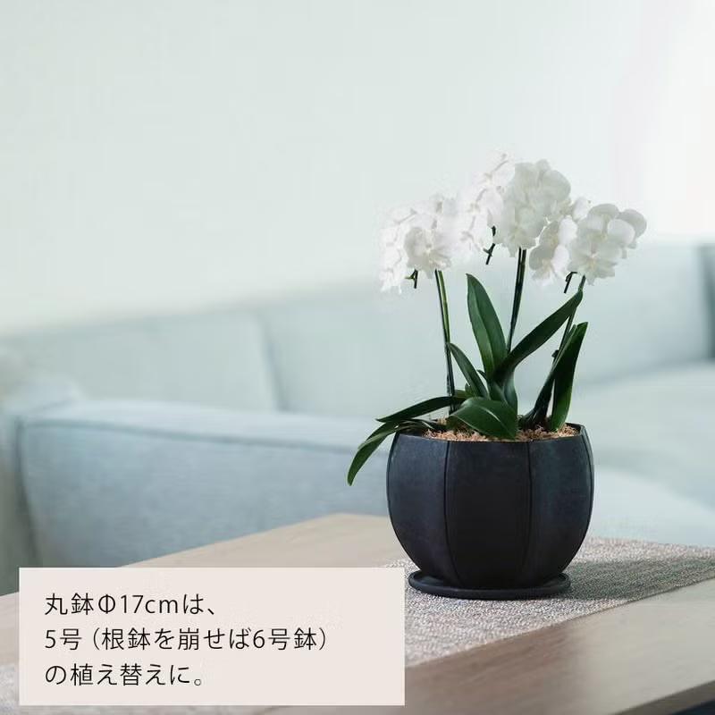 観葉植物 植木鉢 吊り鉢【Made in JAPAN 植木鉢】特殊なカタチ、特殊な