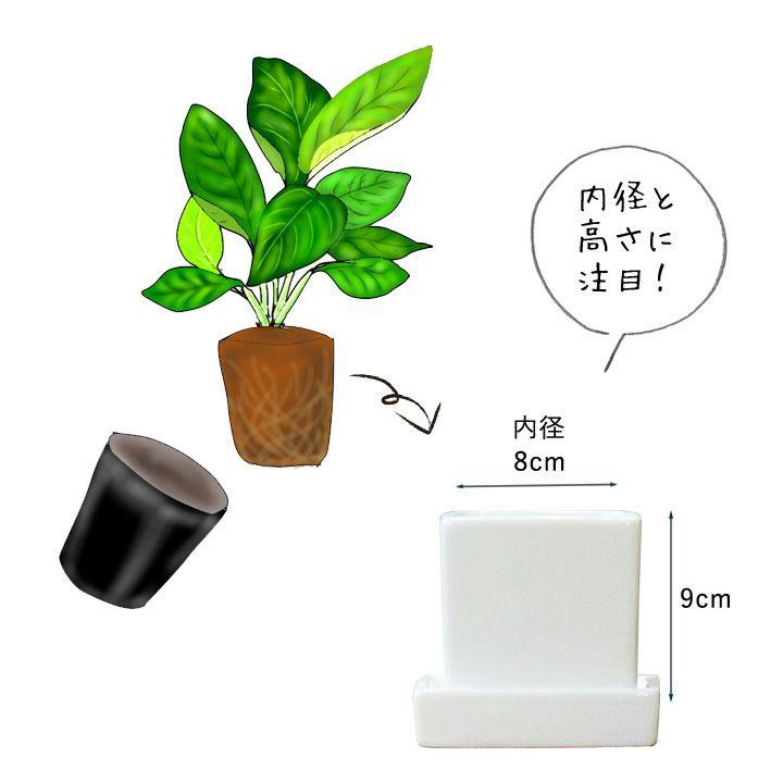 植木鉢・おしゃれ・可愛いキューブ型。スクエア陶器鉢（9cm） : e-花屋