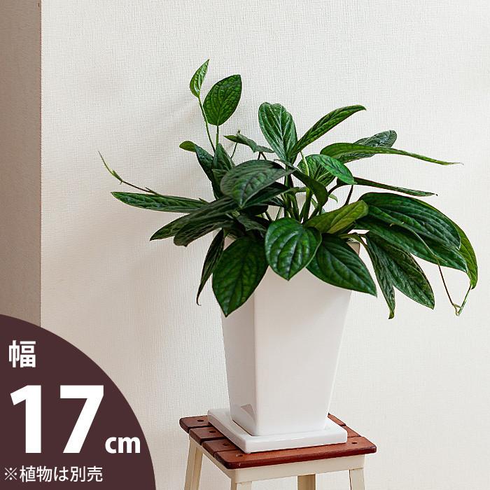 鉢 植木鉢 陶器 室内 おしゃれ 植え替え 縦長スクエア陶器鉢（17cm