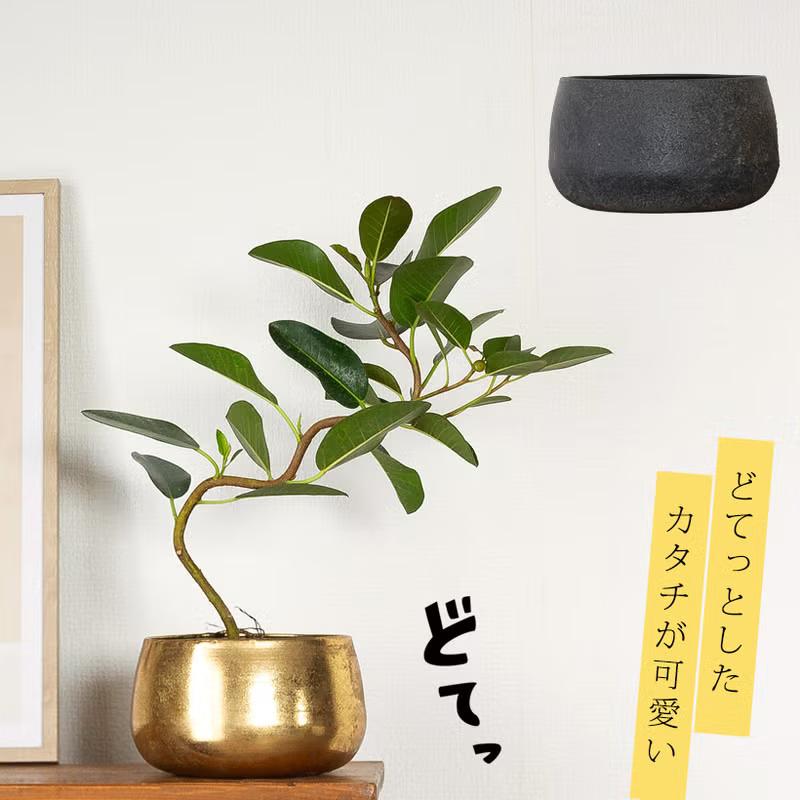 鉢 植木鉢 ドテっとした形が可愛い！鉄製「鉢カバー」（3号〜3.5号苗の