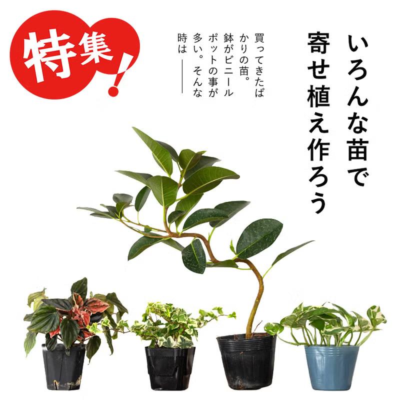 鉢 植木鉢 ドテっとした形が可愛い！鉄製「鉢カバー」（3号〜3.5号苗の