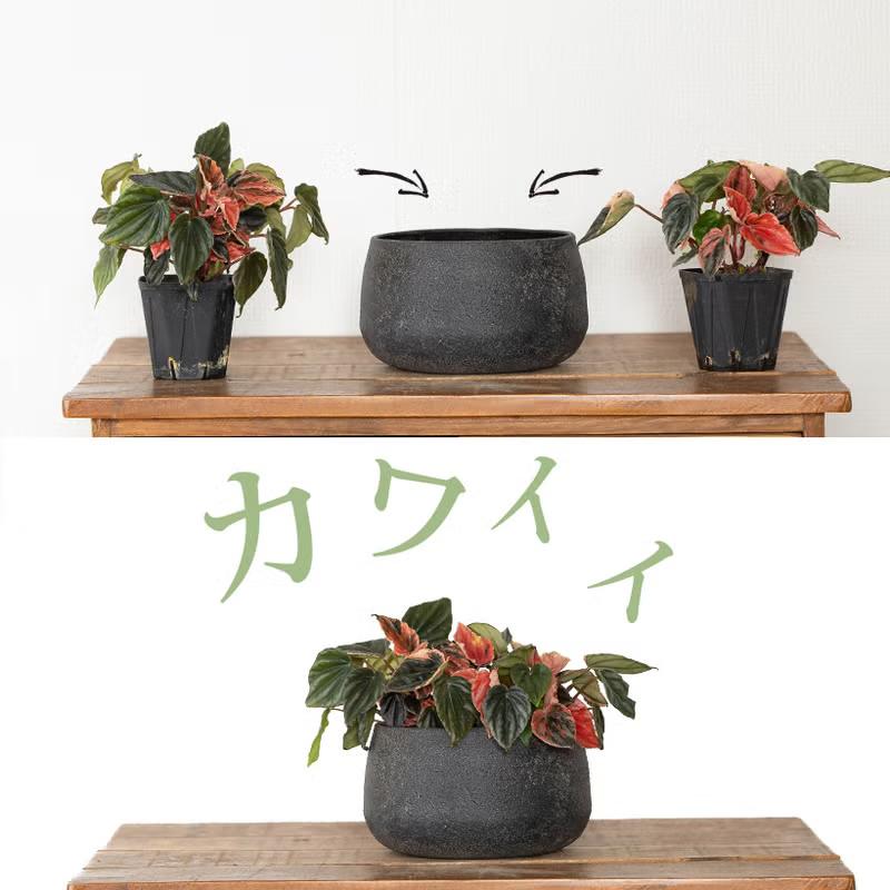 鉢 植木鉢 ドテっとした形が可愛い！鉄製「鉢カバー」（3号〜3.5号苗の