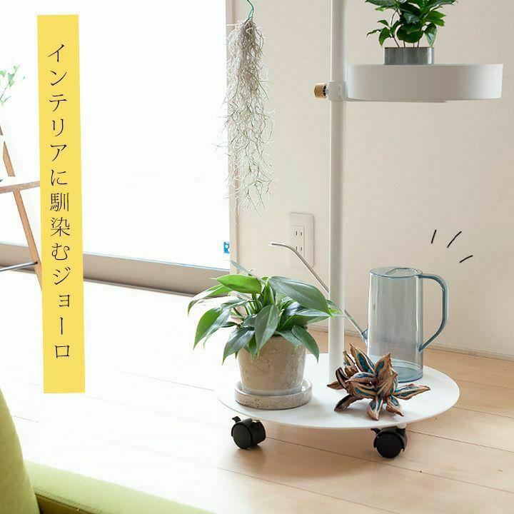 じょうろ おしゃれ 軽くて半透明。おしゃれ水差し(ジョーロ)観葉植物の
