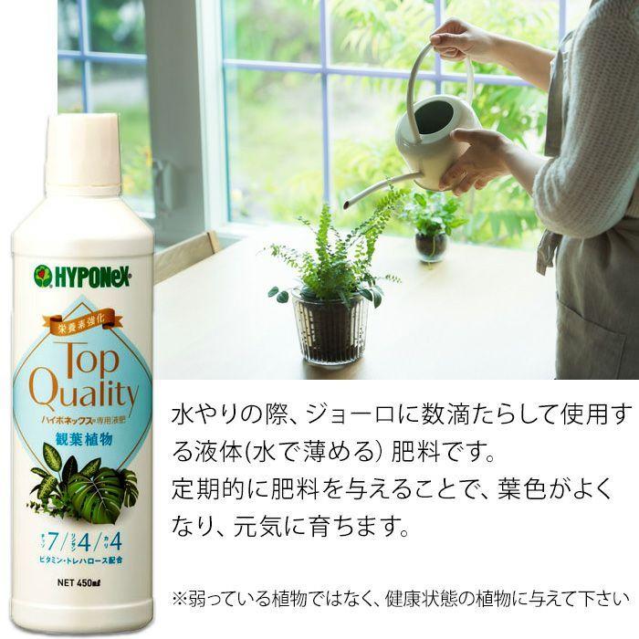 観葉植物 土 肥料 種類 室内 観葉植物の肥料（水やりの際、ジョーロに入れる液体肥料）｜e-8783｜02