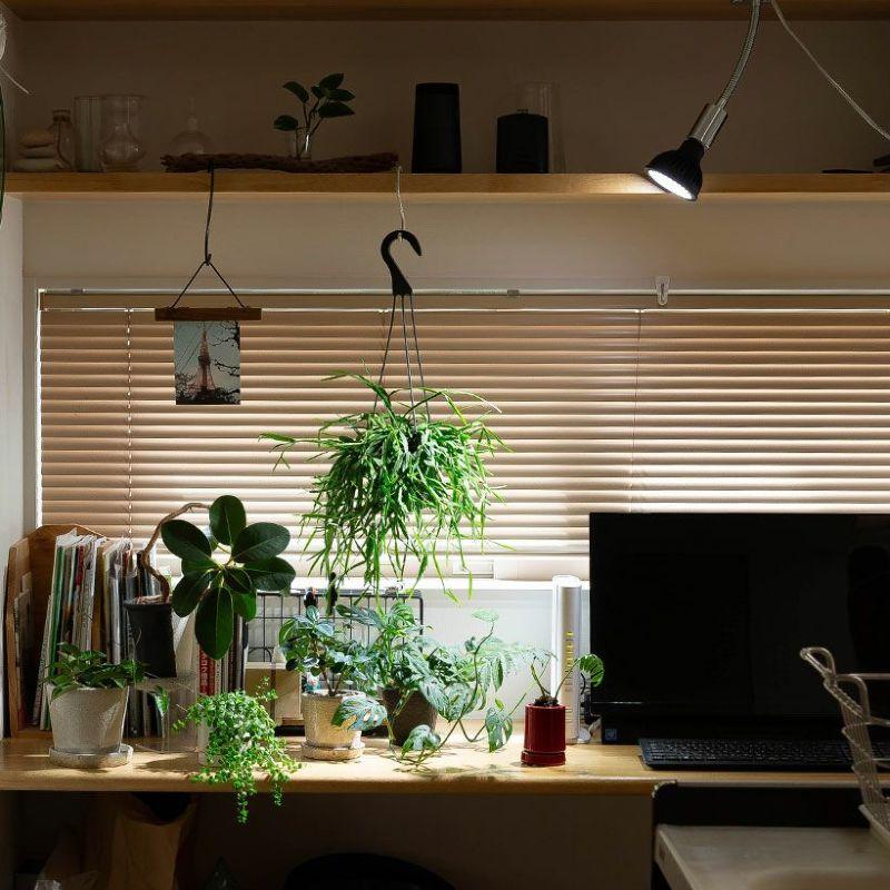 1台現品　塗装前完成品　ミニ植物棚　ライト特別使用。電源用ライトソケット付き。 1台現品 塗装前完成品 ミニ植物棚 ライト特別使用。電源用ライト