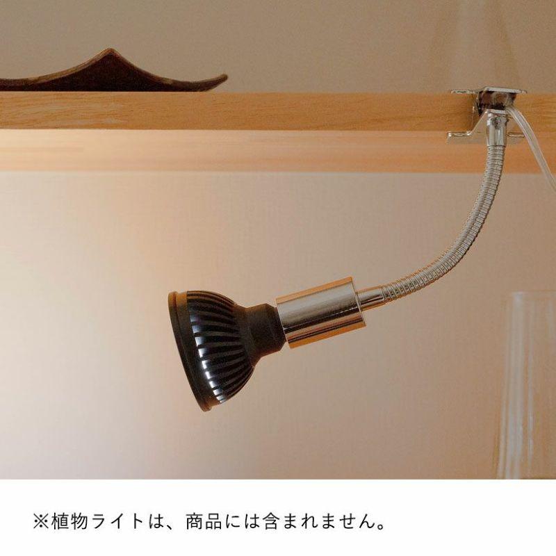 1台現品 塗装前完成品 ミニ植物棚 ライト特別使用。電源用ライト