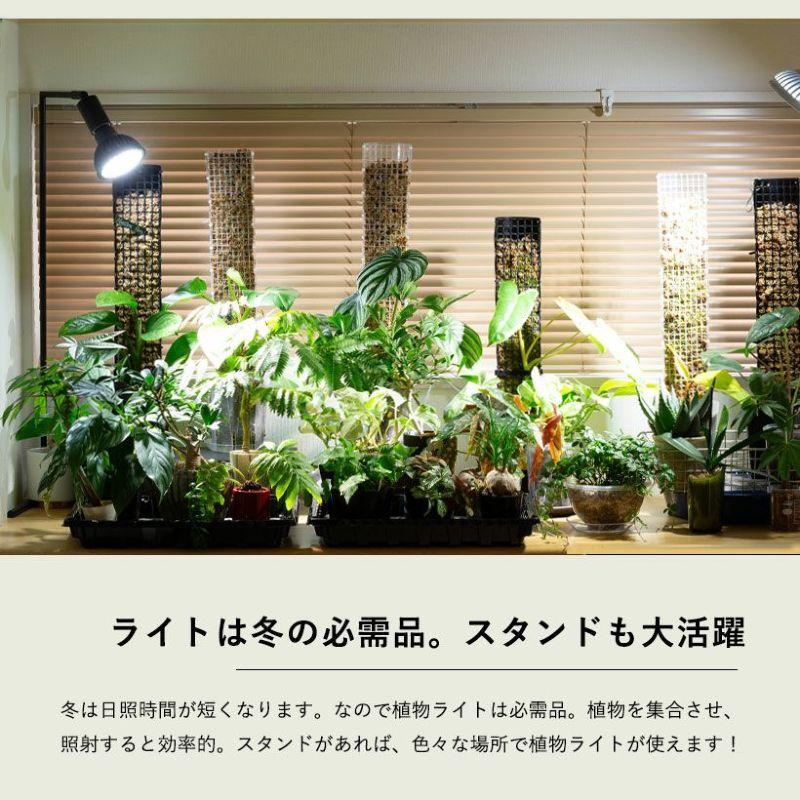 植物育成ライト 育成ライト 植物 e26 電球 観葉植物 植物育成 植物育成ライト 育成ライト 植物 e26 電球 観葉植物 植物育成