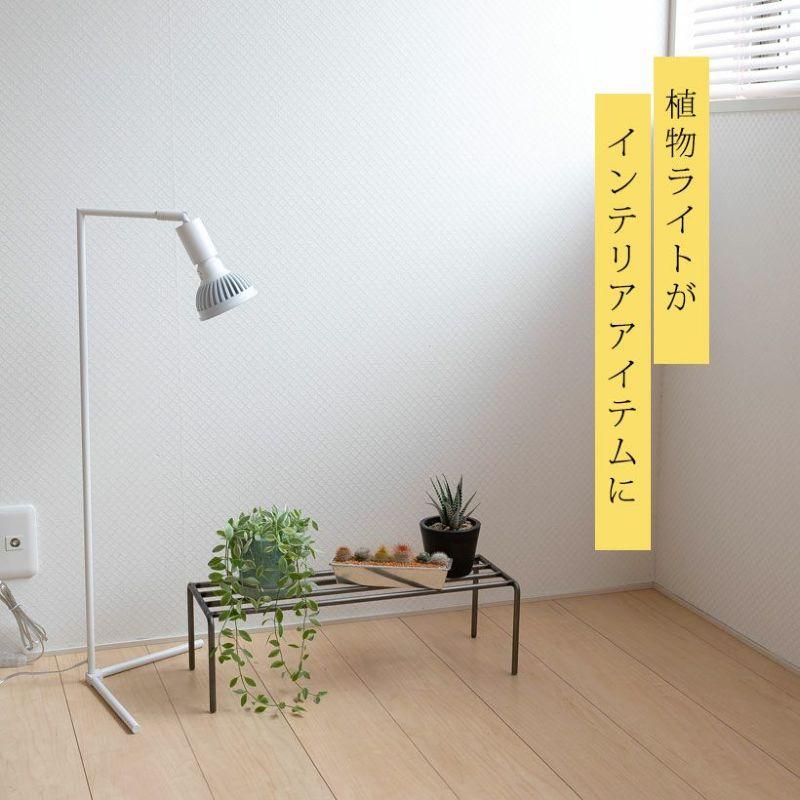 植物育成ライト 育成ライト 植物 e26 電球 観葉植物 植物育成ライトの