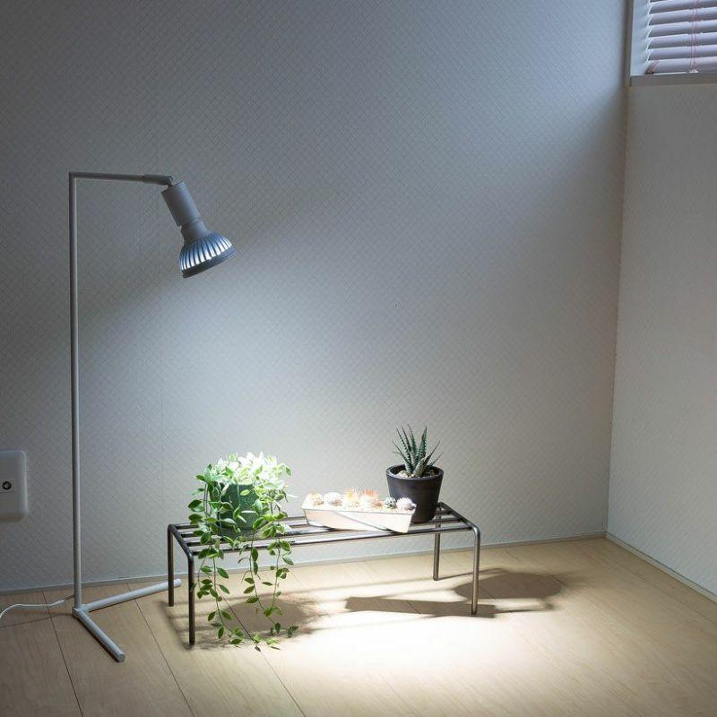 植物育成ライト LED スタンド付き 植物育成ライト 育成ライト 植物 e26 電球 観葉植物 植物育成ライトの
