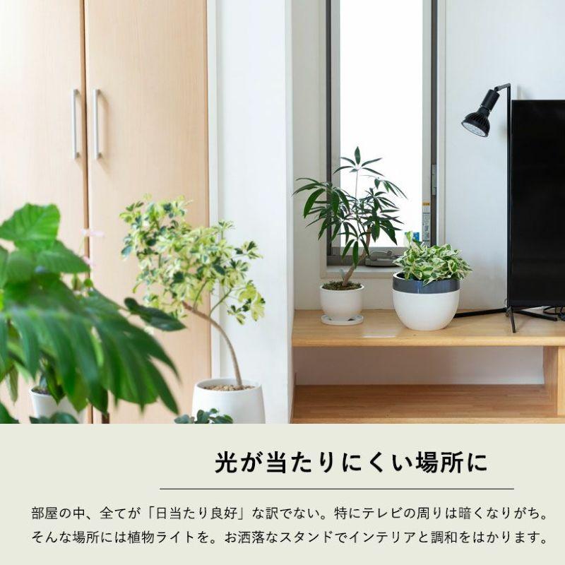 植物育成ライト 育成ライト 植物 e26 電球 観葉植物 植物育成 植物育成ライト 育成ライト 植物 e26 電球 観葉植物 植物育成
