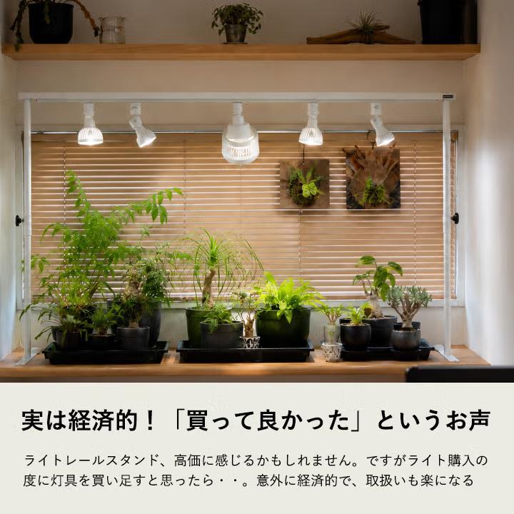 ライトレールスタンド：使ってみて！想像より便利です（メーカー直送品
