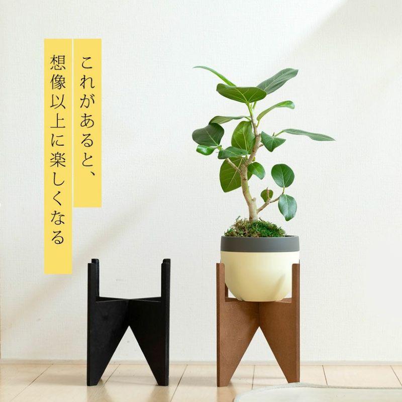 植物を立体的に飾る！手軽で便利、WOODスタンド : e-花屋さん - 通販