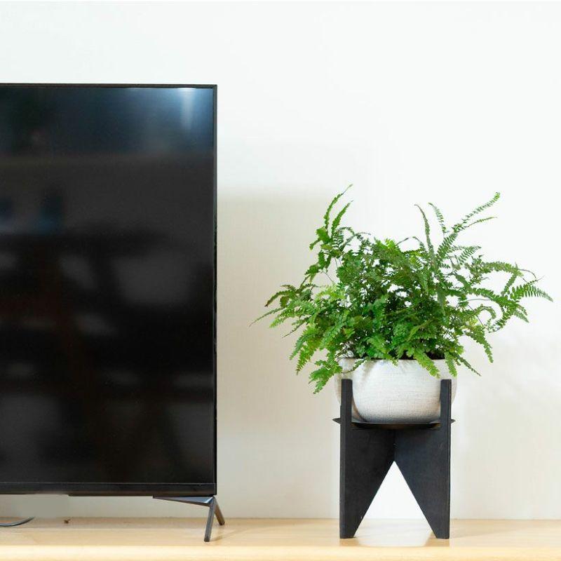 植物を立体的に飾る！手軽で便利、WOODスタンド : e-花屋さん - 通販