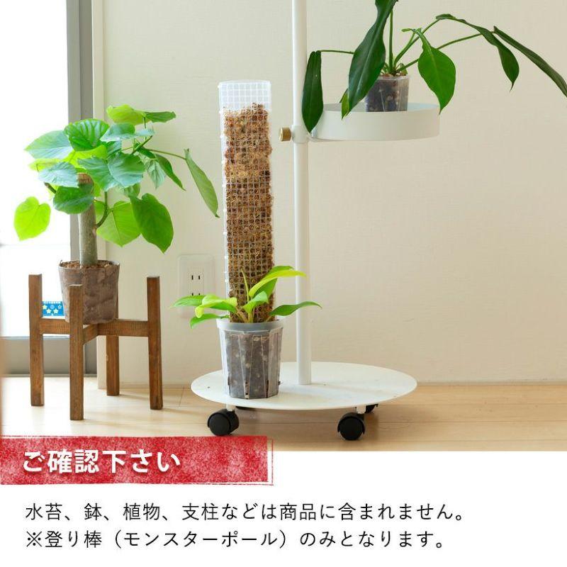 連結して長く伸ばせる！植物の登り棒モンスターポール（50cm）※鉢は