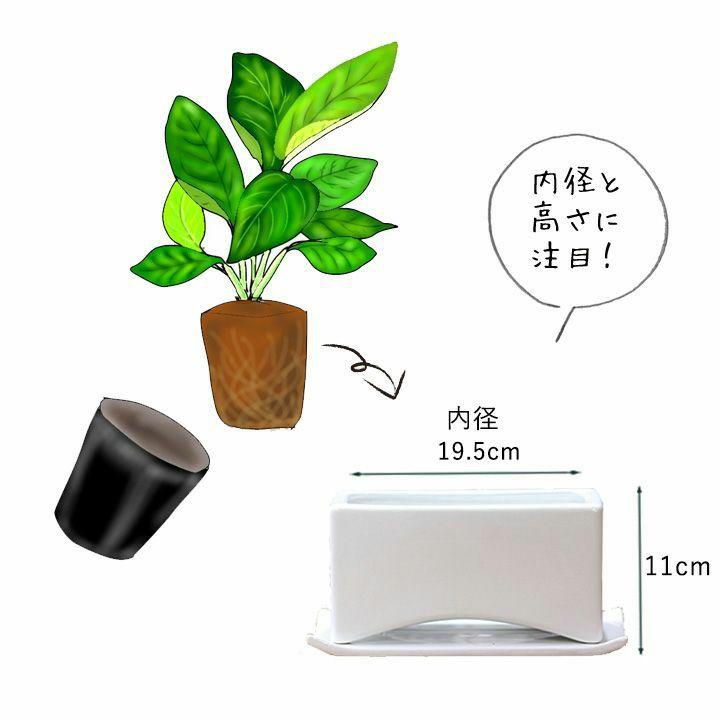 鉢 植木鉢 おしゃれ 室内 横長 白 黒 横長の陶器鉢（23cm） : e-花屋