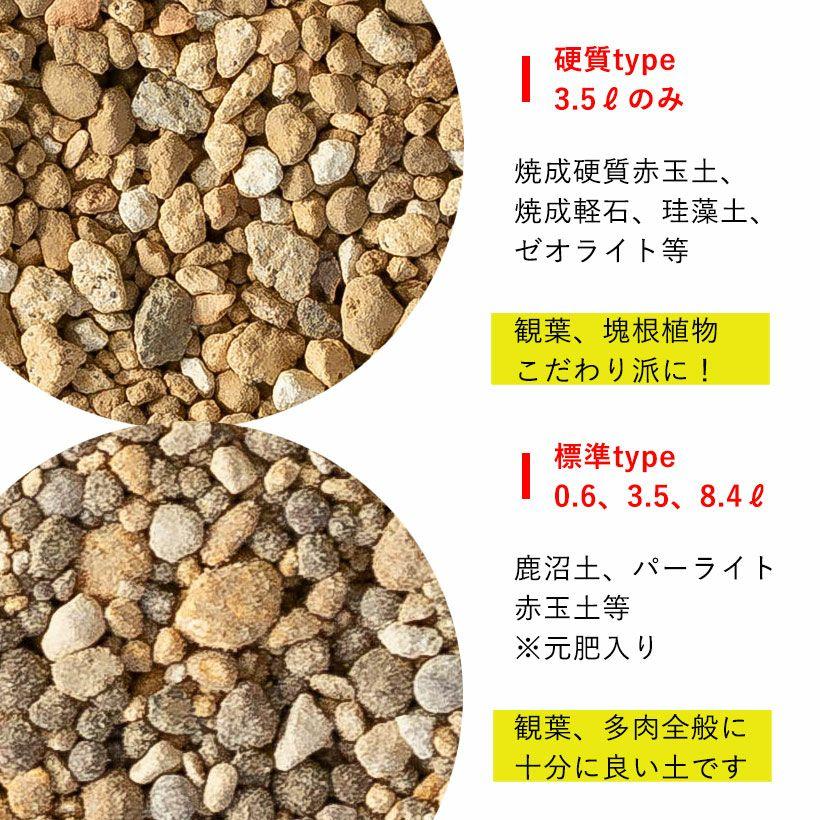 観葉植物 土 観葉植物の土 多肉植物 観葉植物＆多肉植物の土 プロト