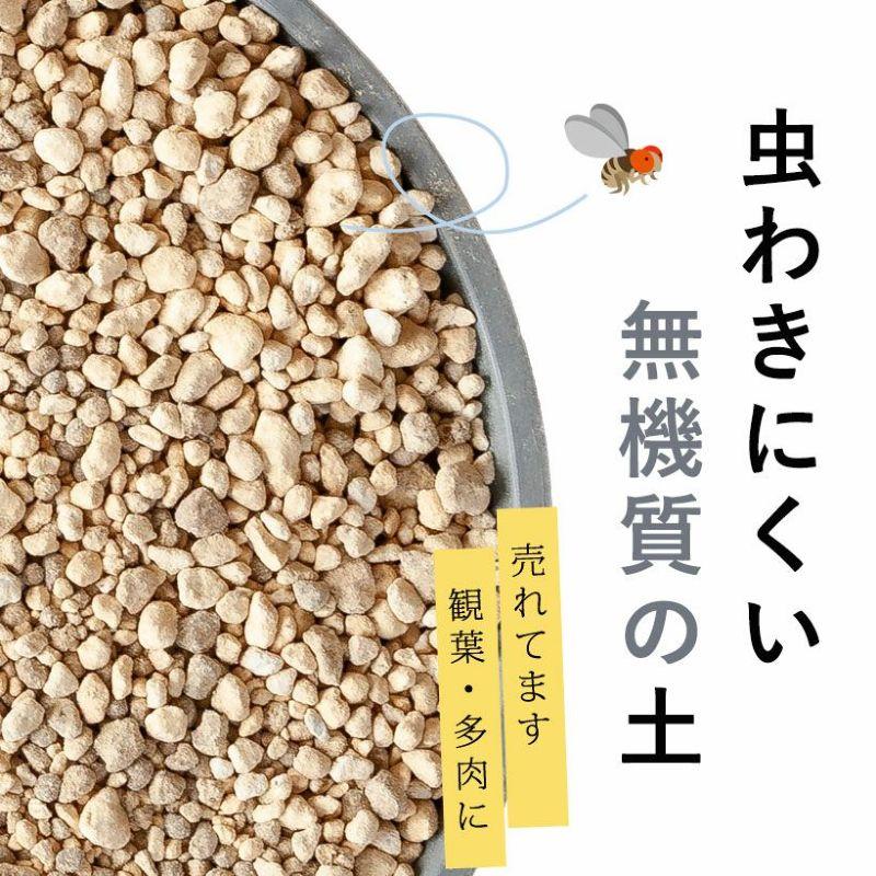 観葉植物 土 観葉植物の土 多肉植物 観葉植物＆多肉植物の土