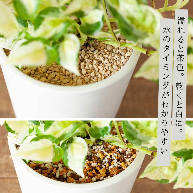 観葉植物 土 観葉植物の土 多肉植物 観葉植物＆多肉植物の土 プロト